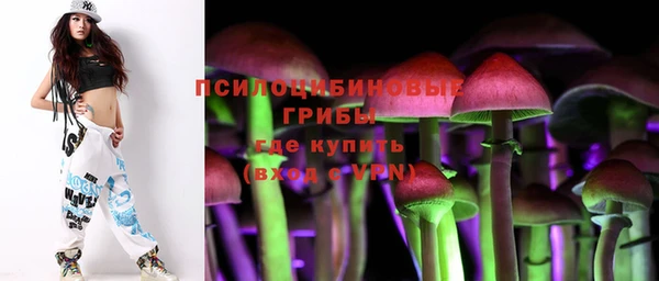 ешки Абинск